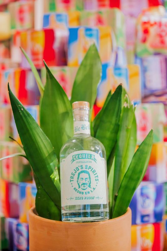 Bottle of Trejos NA Tequila and Snake Plant