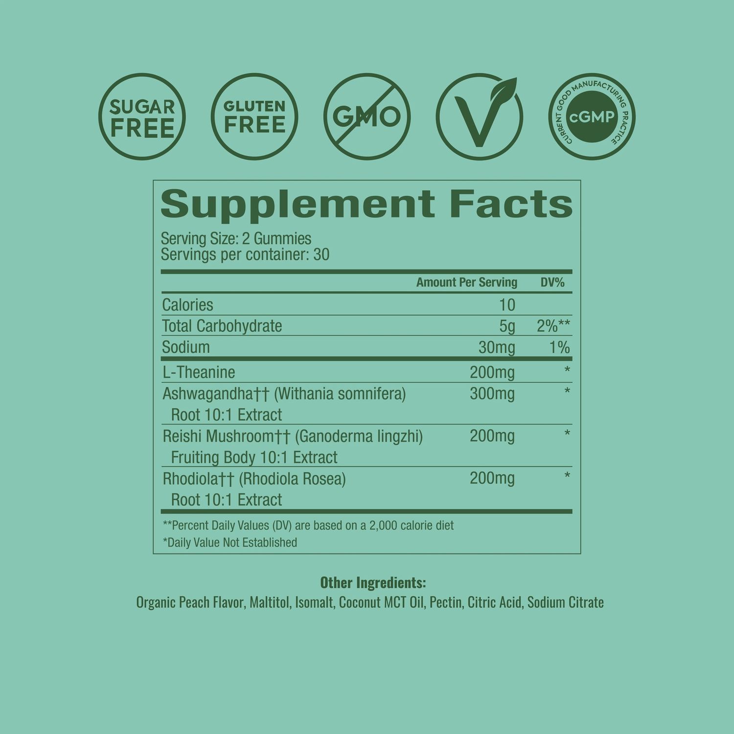 Plant People Wonder Calm