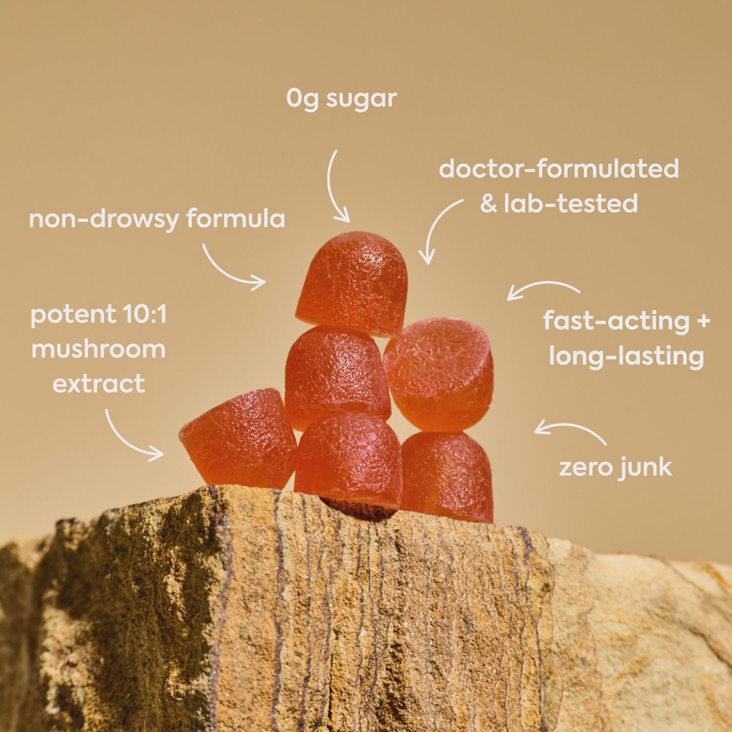 Plant People Wonder Calm