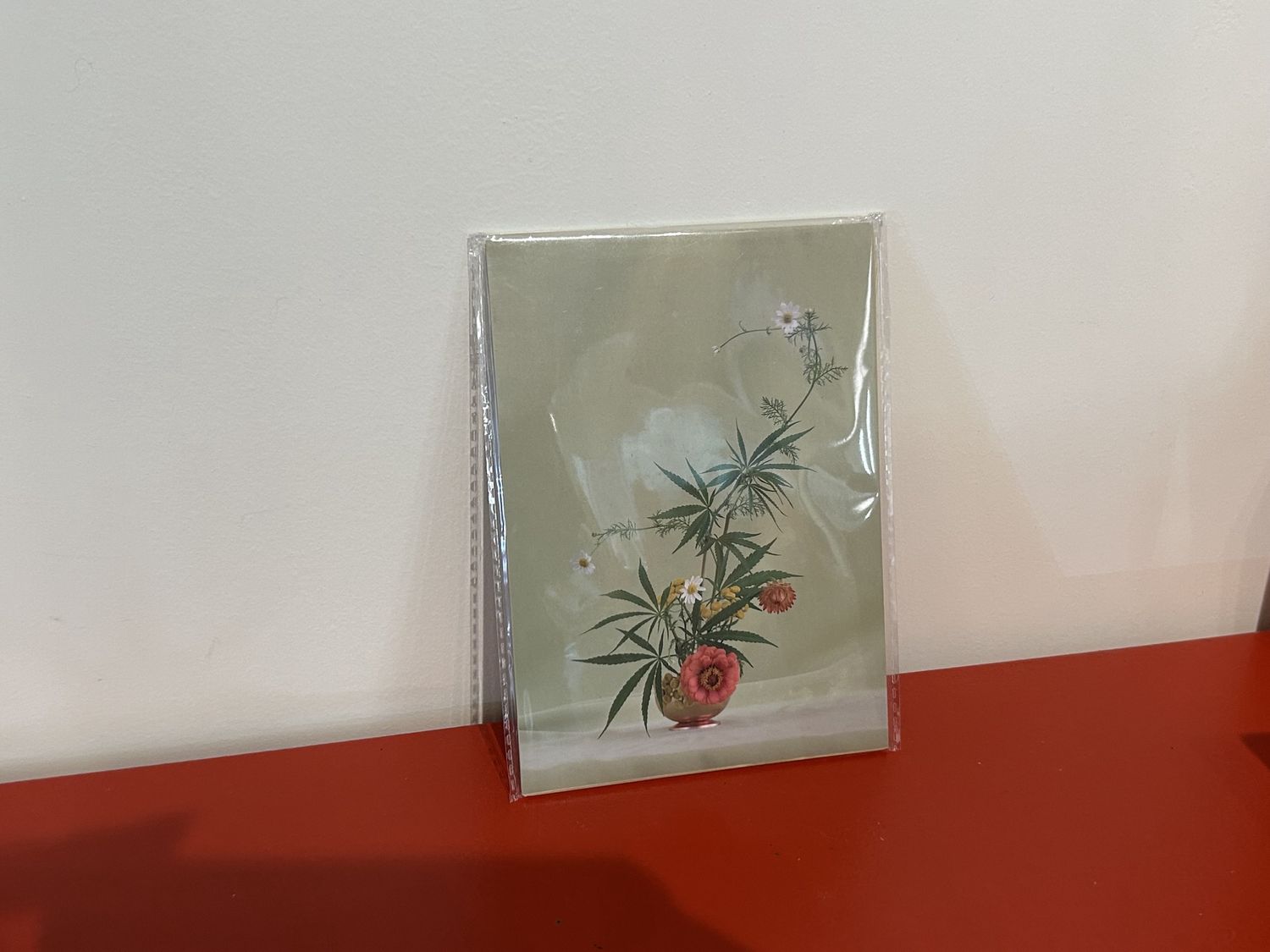 Weed Ikebana Postcard Print 8 Pk