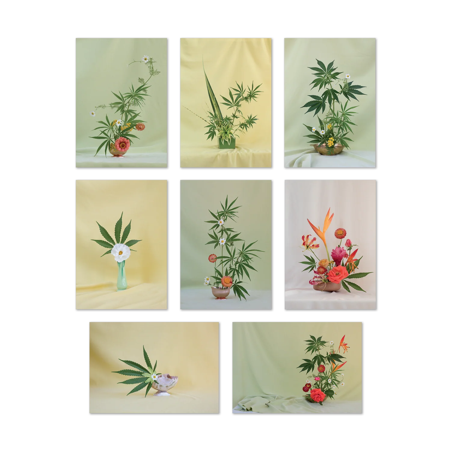 Weed Ikebana Postcard Print 8 Pk
