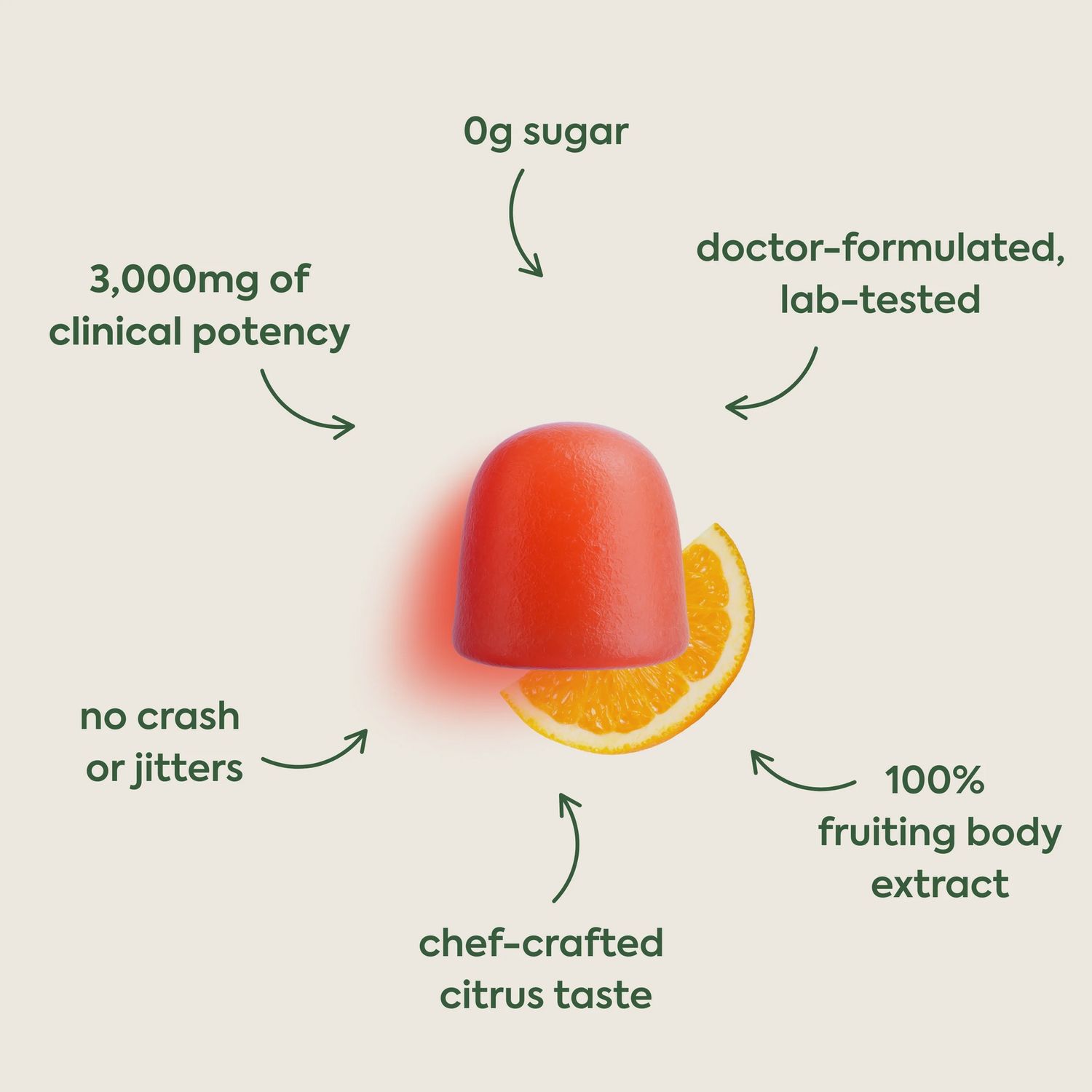 Plant People Wonder Focus