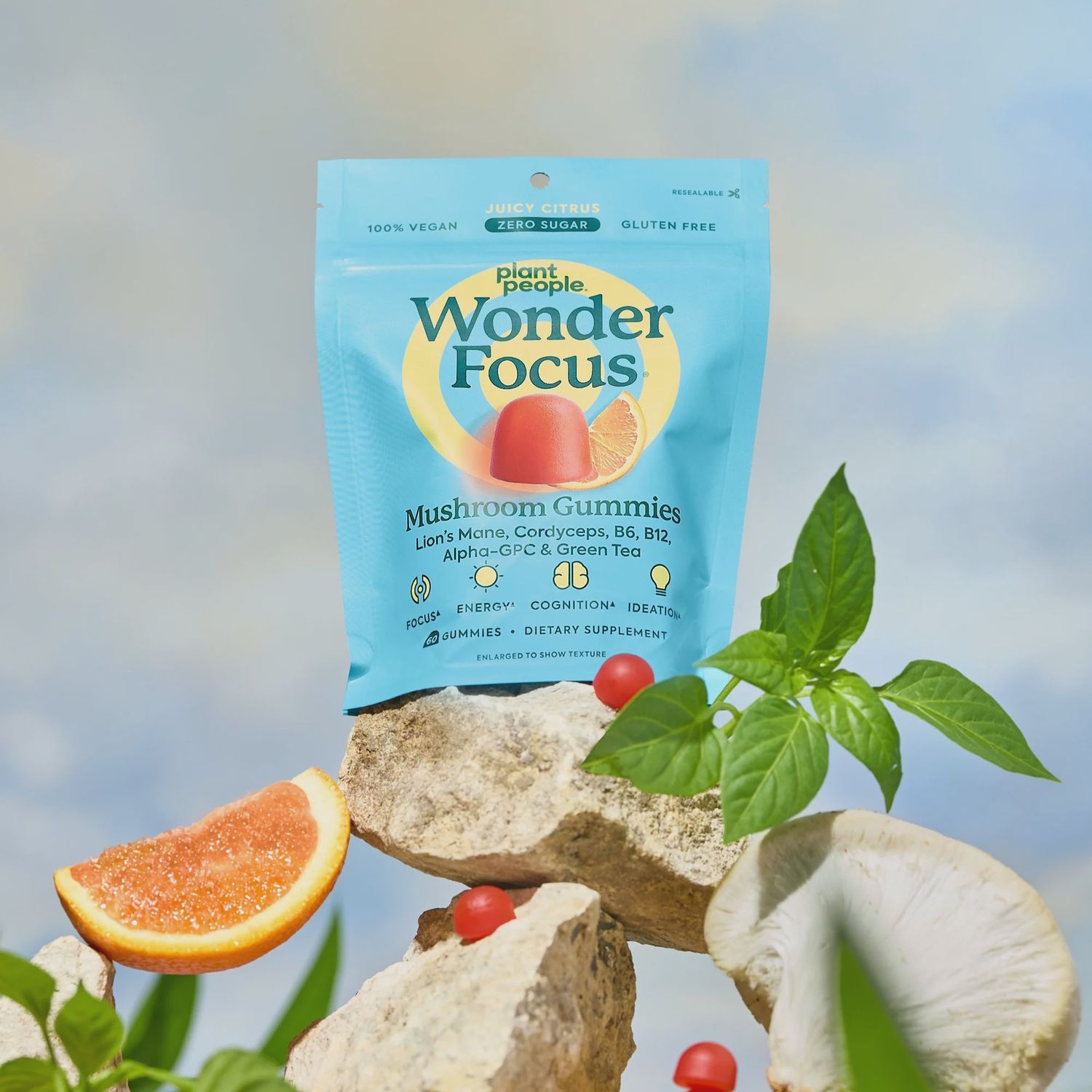 Plant People Wonder Focus