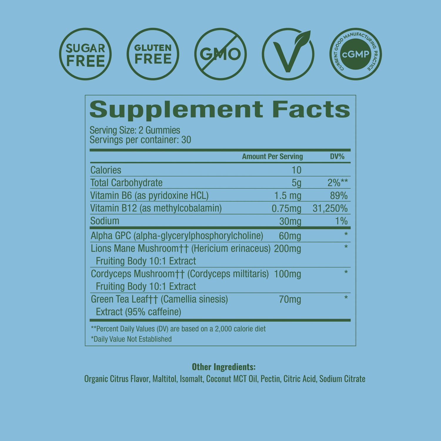 Plant People Wonder Focus