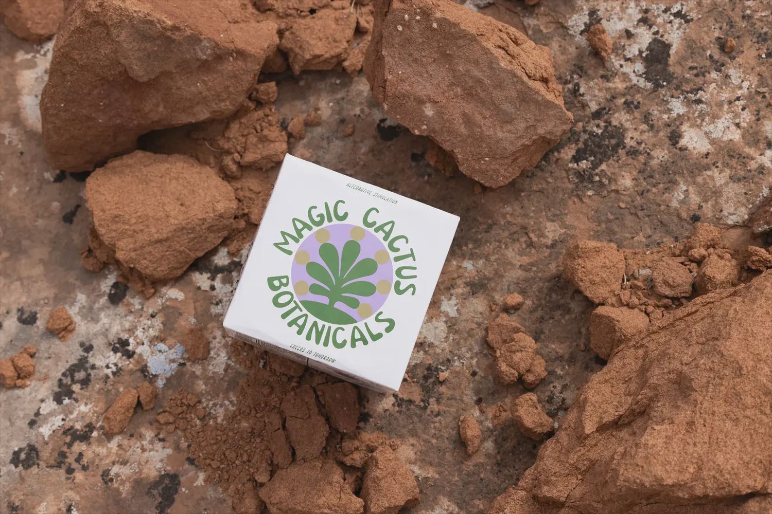 Magic Cactus: Lavender Raspberry