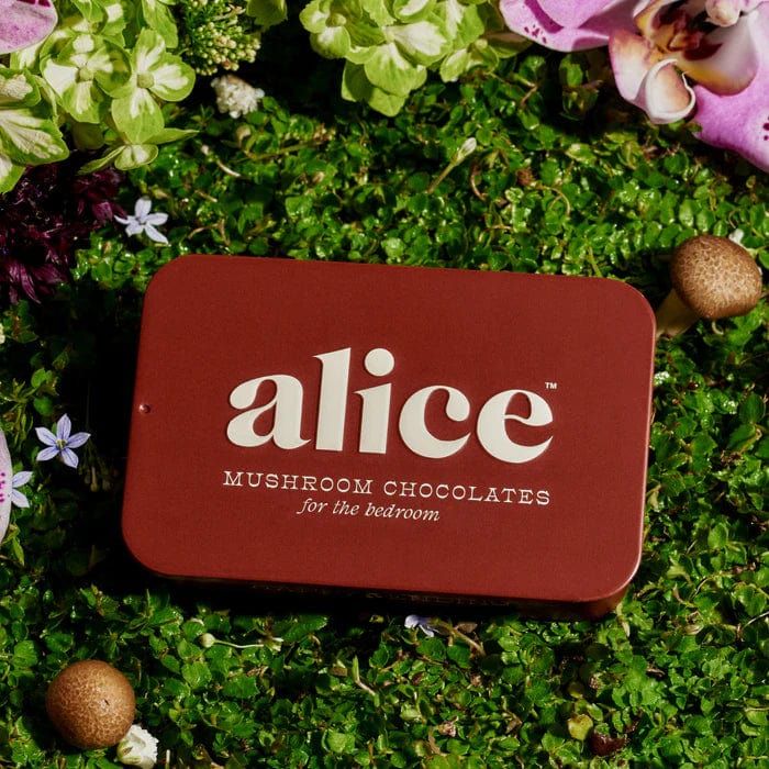 Alice Mushroom Arousal | Chocolates, Size: 16 ct tin