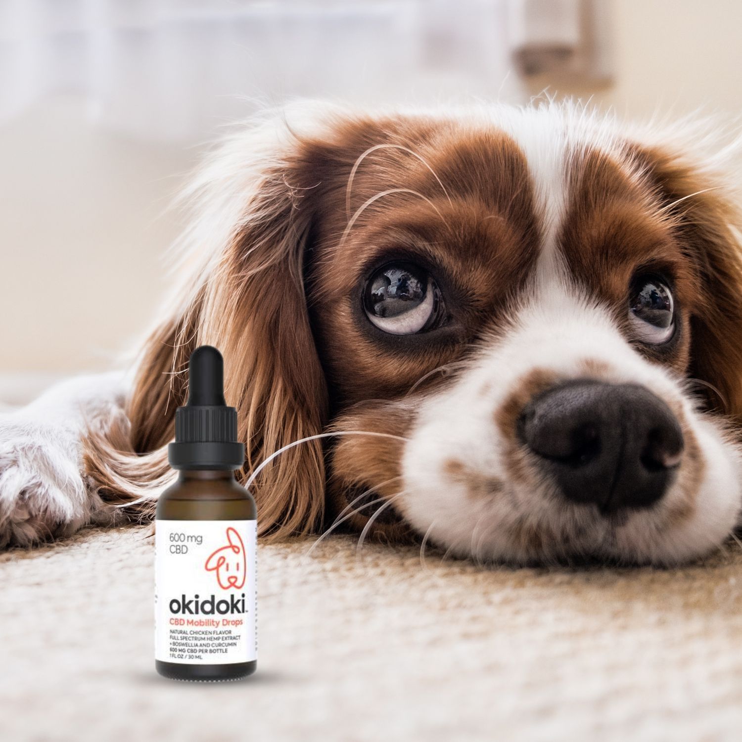 Okidoki CBD Mobility Drops