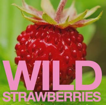 Eat Gold Organics: Big Orgasm