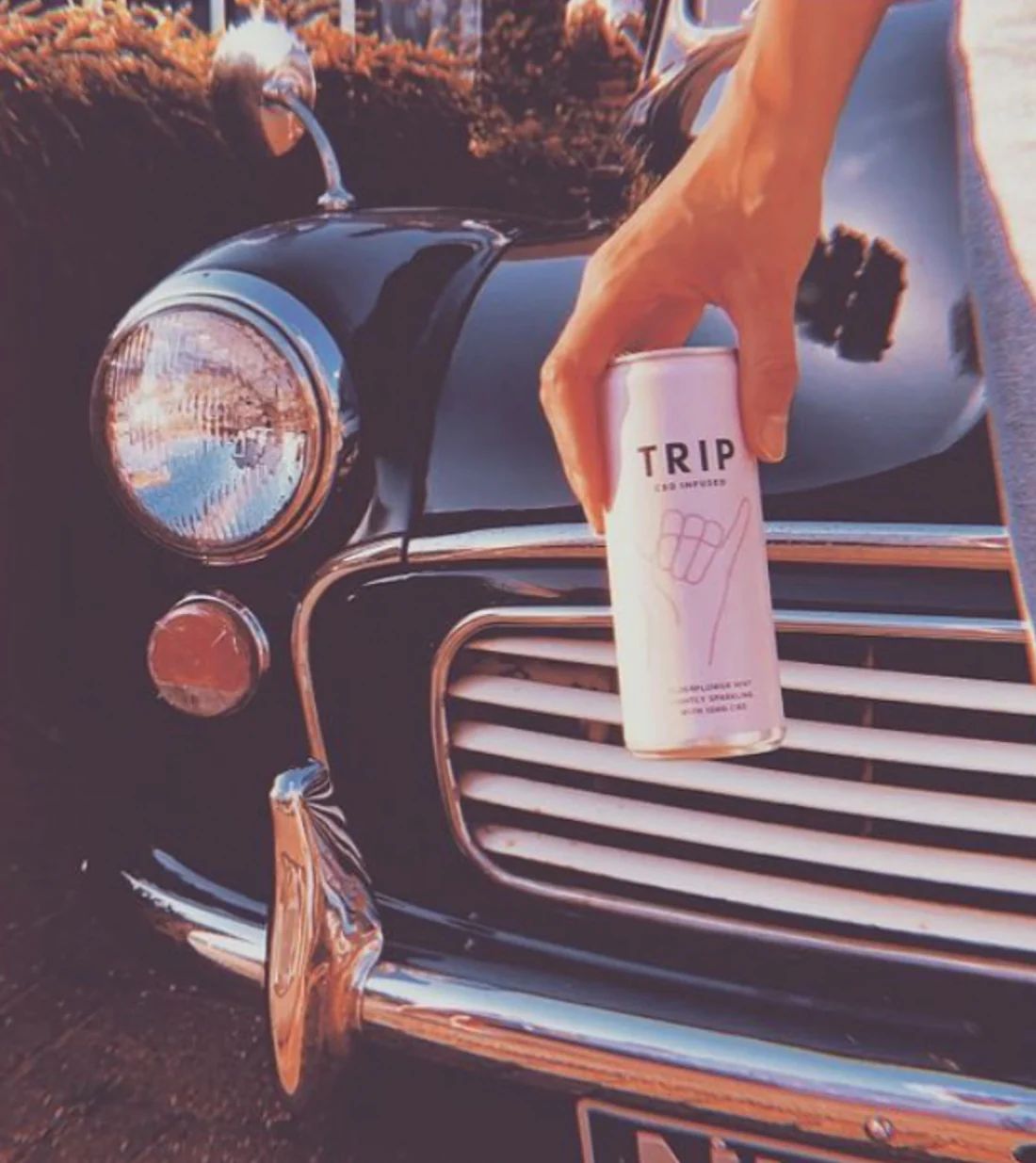 TRIP -  CBD - Elderflower Mint