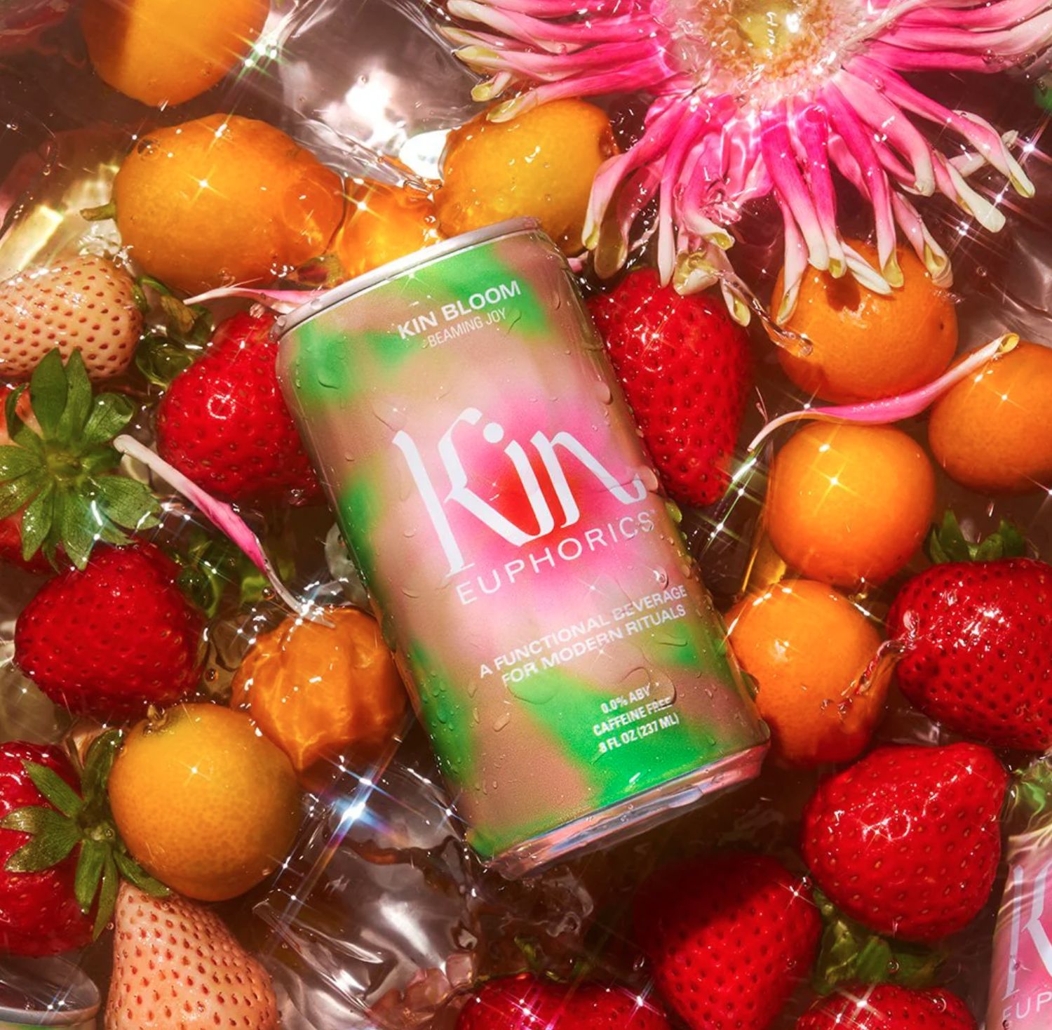 Kin Euphorics - Bloom