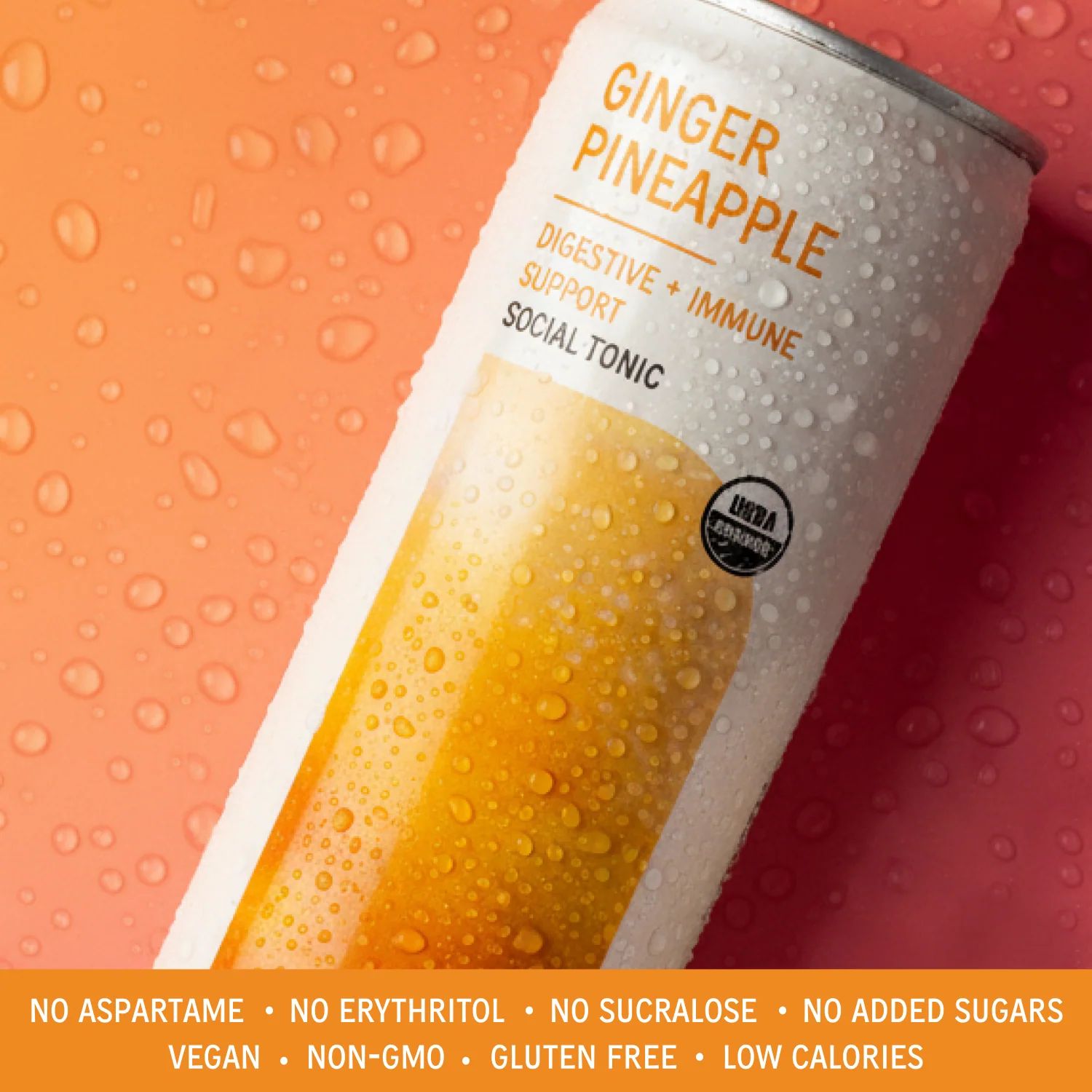 NA Bev Co Rooted Ginger Pineapple