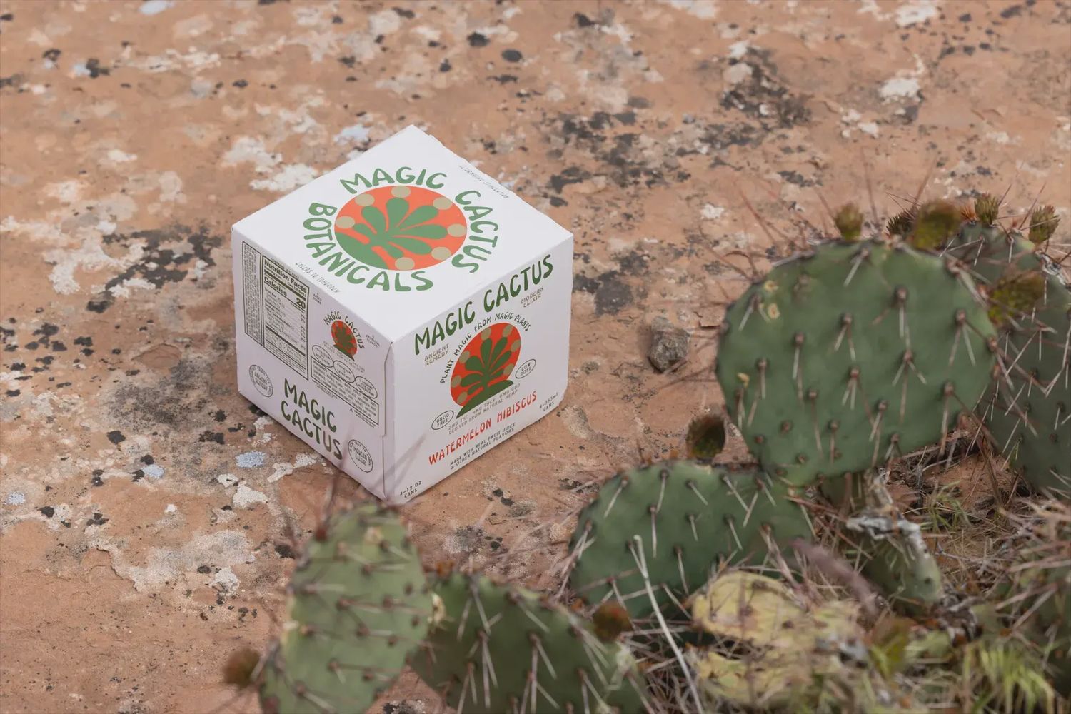 Magic Cactus: Watermelon Hibiscus