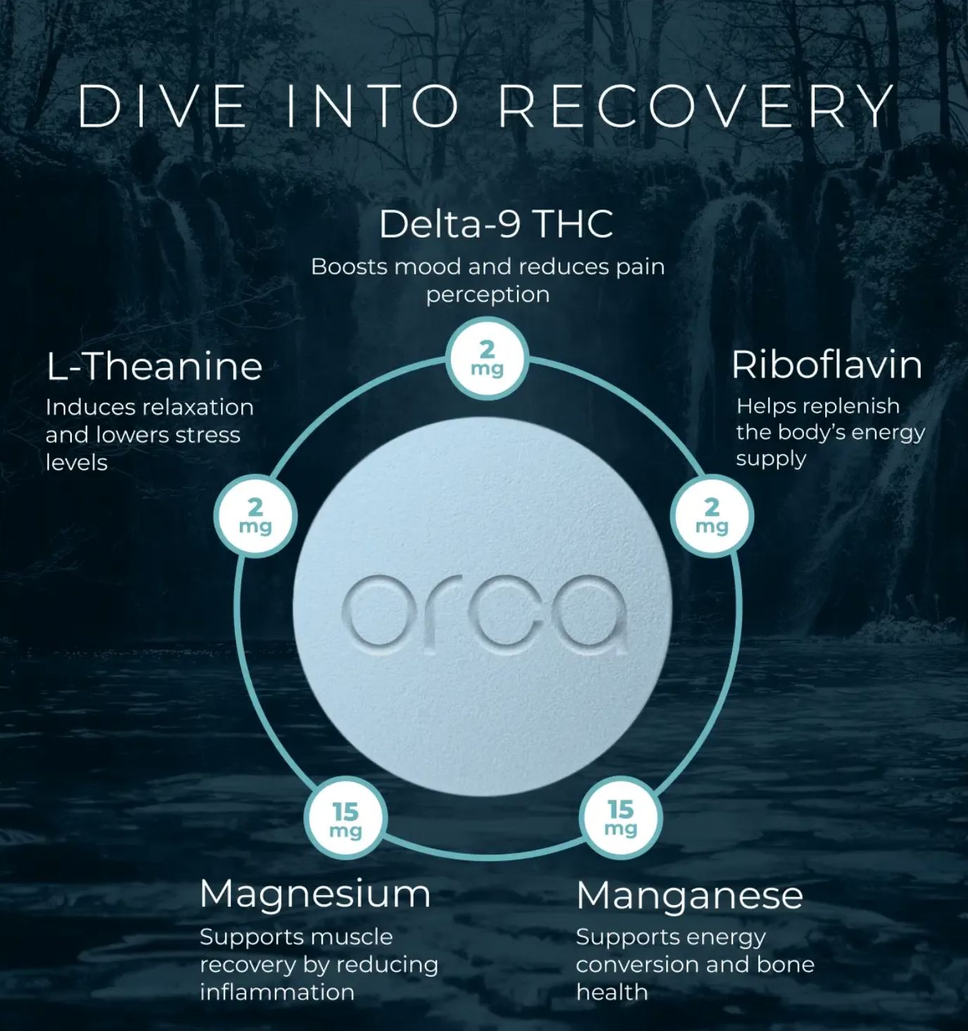 Orca Recovery Pills