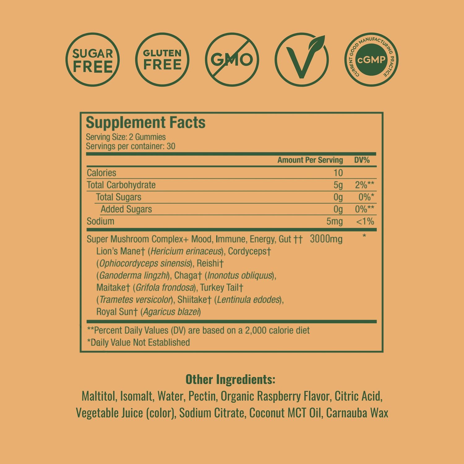 Plant People Wonder Day