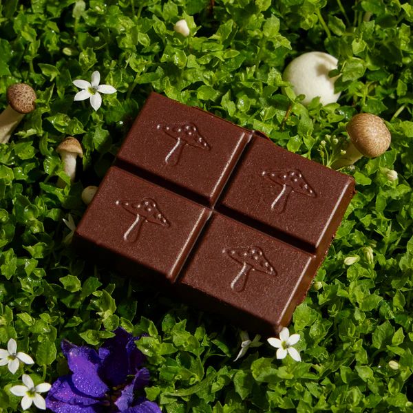 Alice Mushroom Deep Sleep | Chocolates