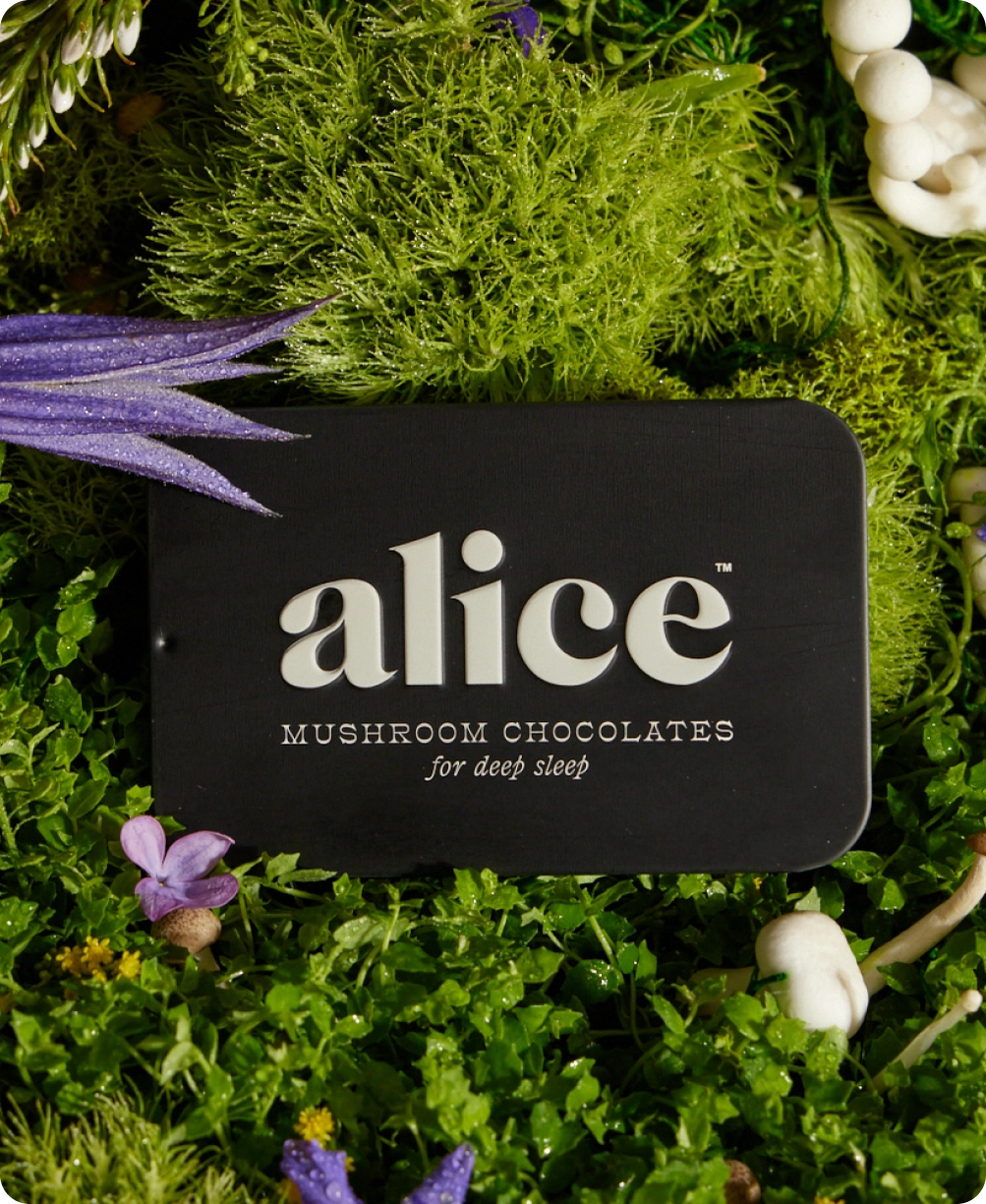 Alice Mushroom Deep Sleep | Chocolates
