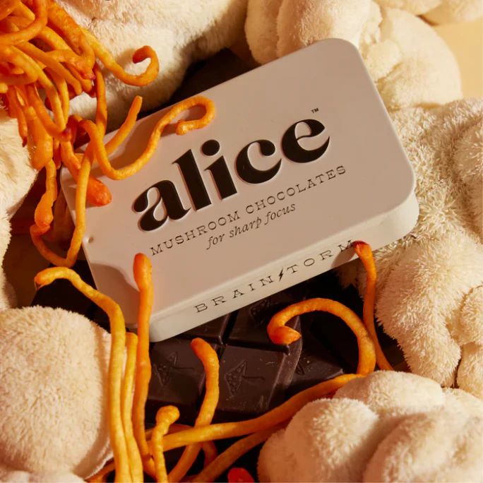 Alice Mushrooms Brainstorm | Chocolates