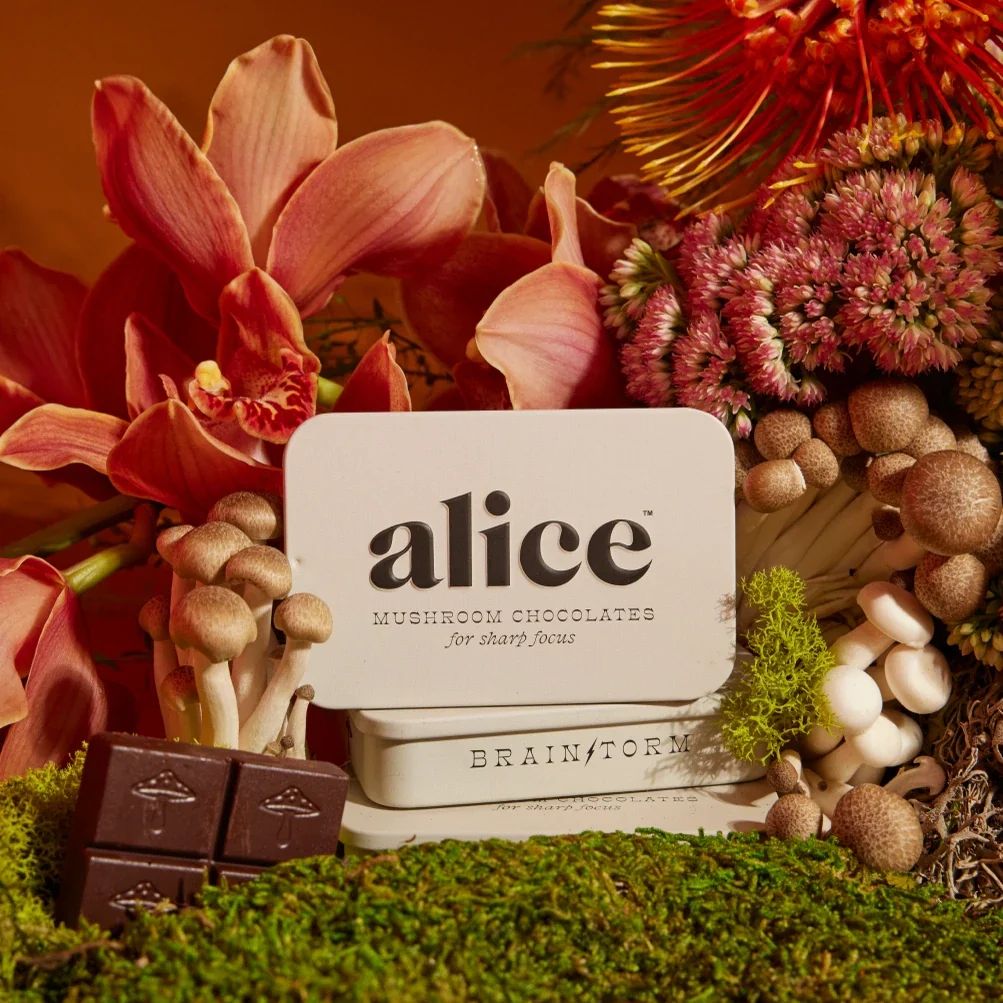 Alice Mushrooms Brainstorm | Chocolates, Size: 16 ct tin