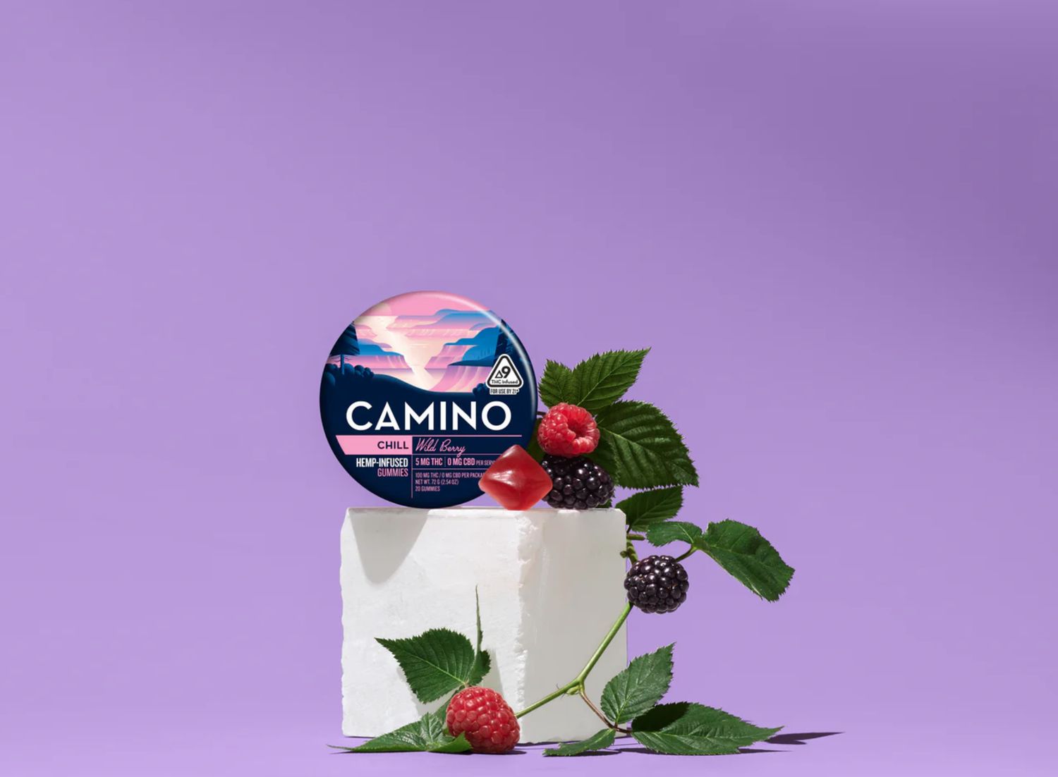 Camino - Chill
