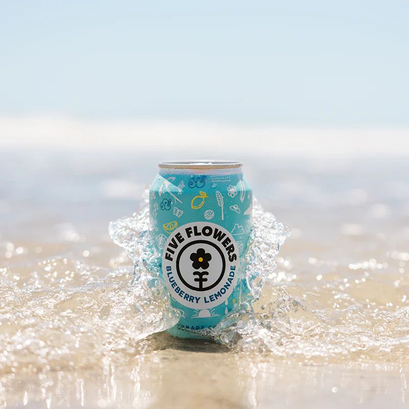 Five Flowers - Blueberry Lemonade 10MG