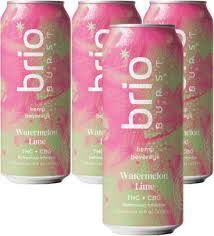 Brio Zero Watermelon Lime
