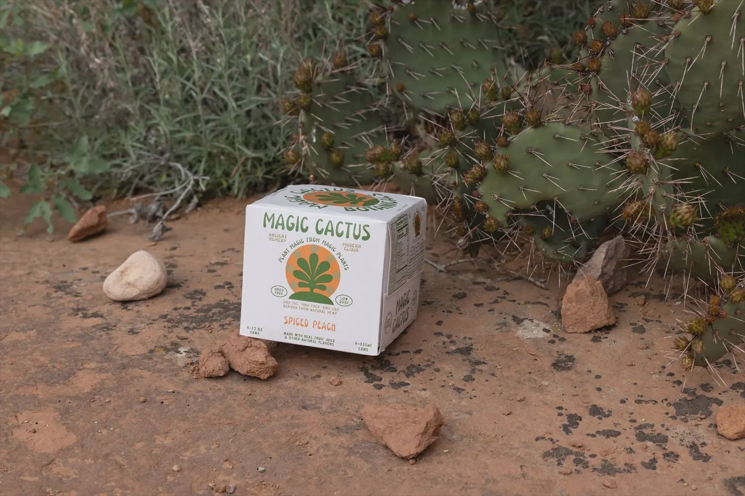 Magic Cactus: Spiced Peach, Size: 4 pack