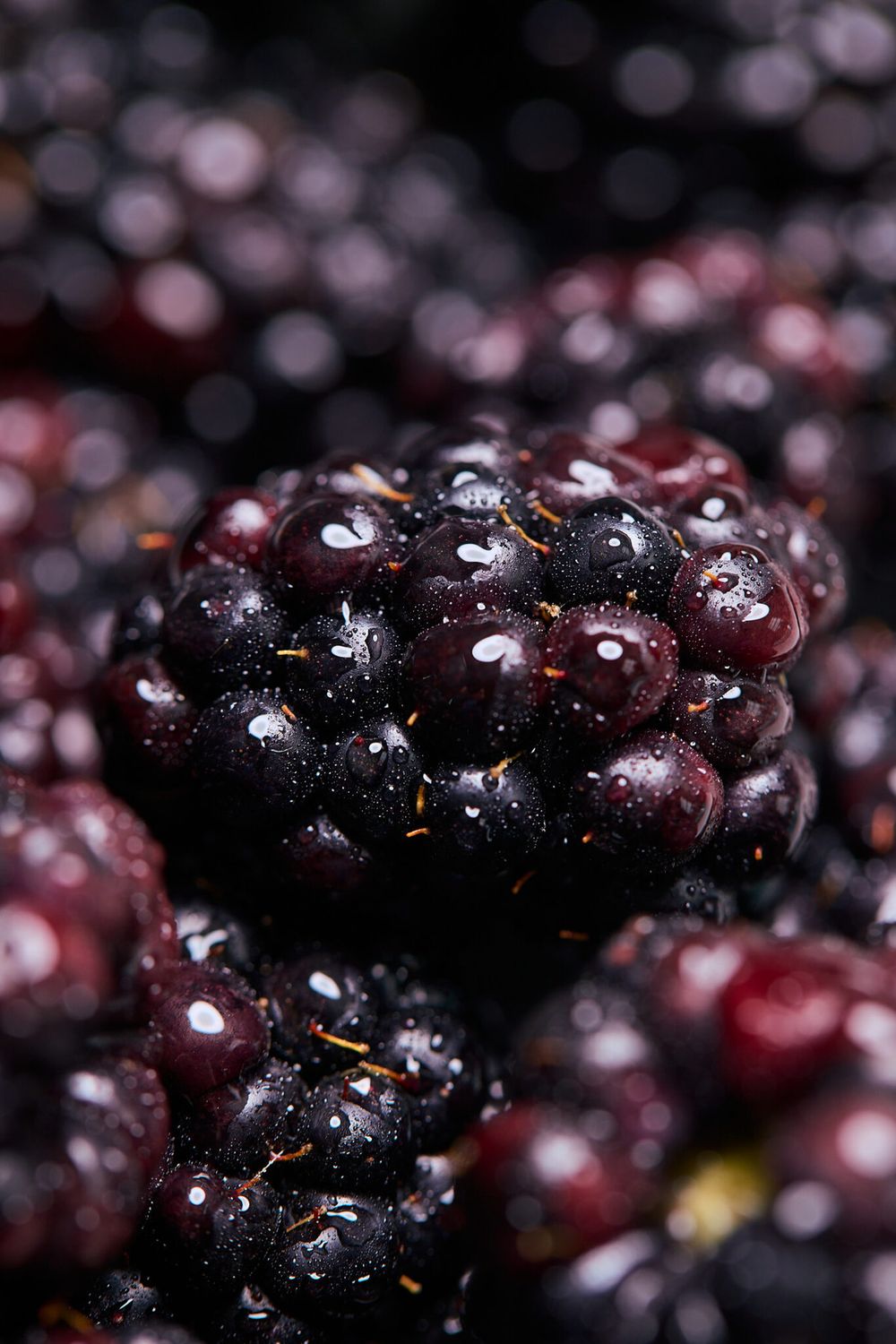 Wyld 10MG - Boysenberry Dream Gummies