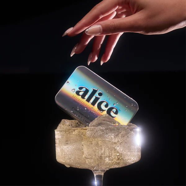 Alice Mushroom Party Trick | Chocolates