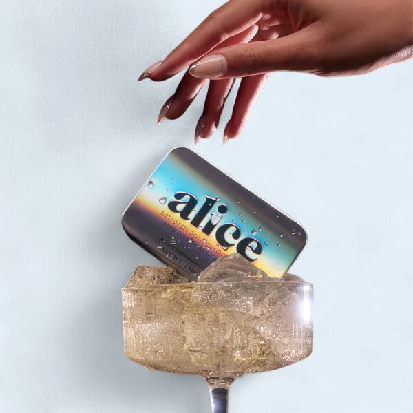 Alice Mushroom Party Trick | Chocolates