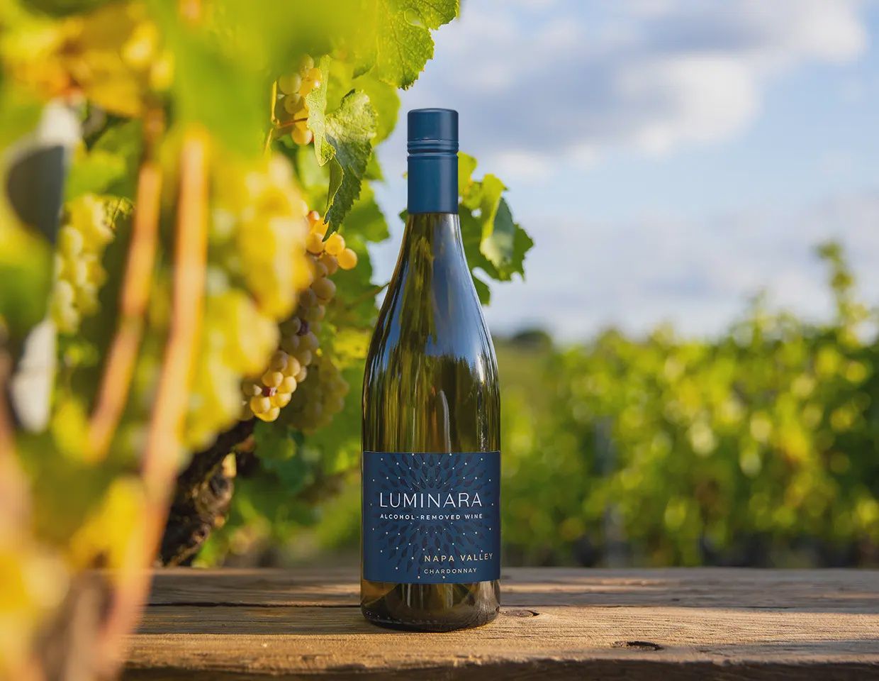 Luminara Chardonnay