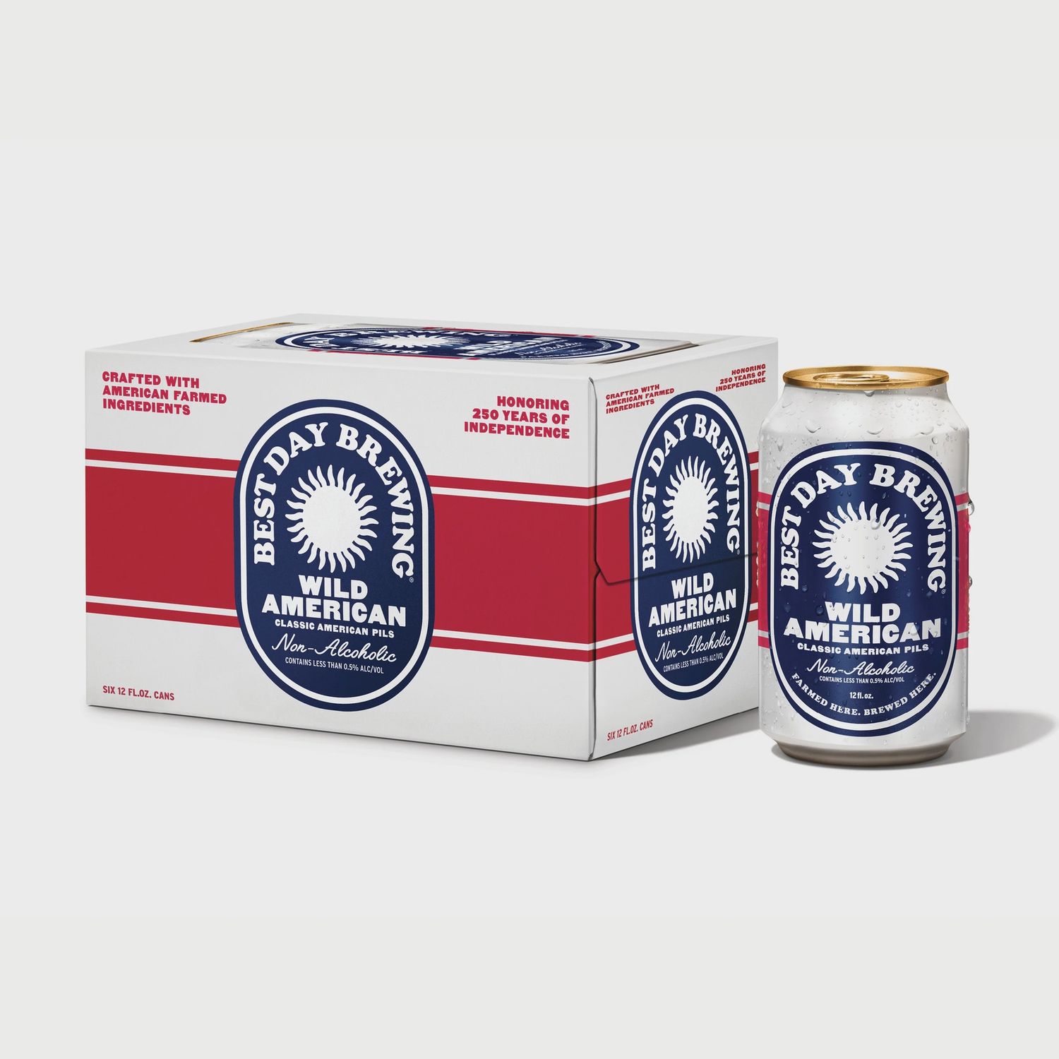 Best Day Wild American Pils