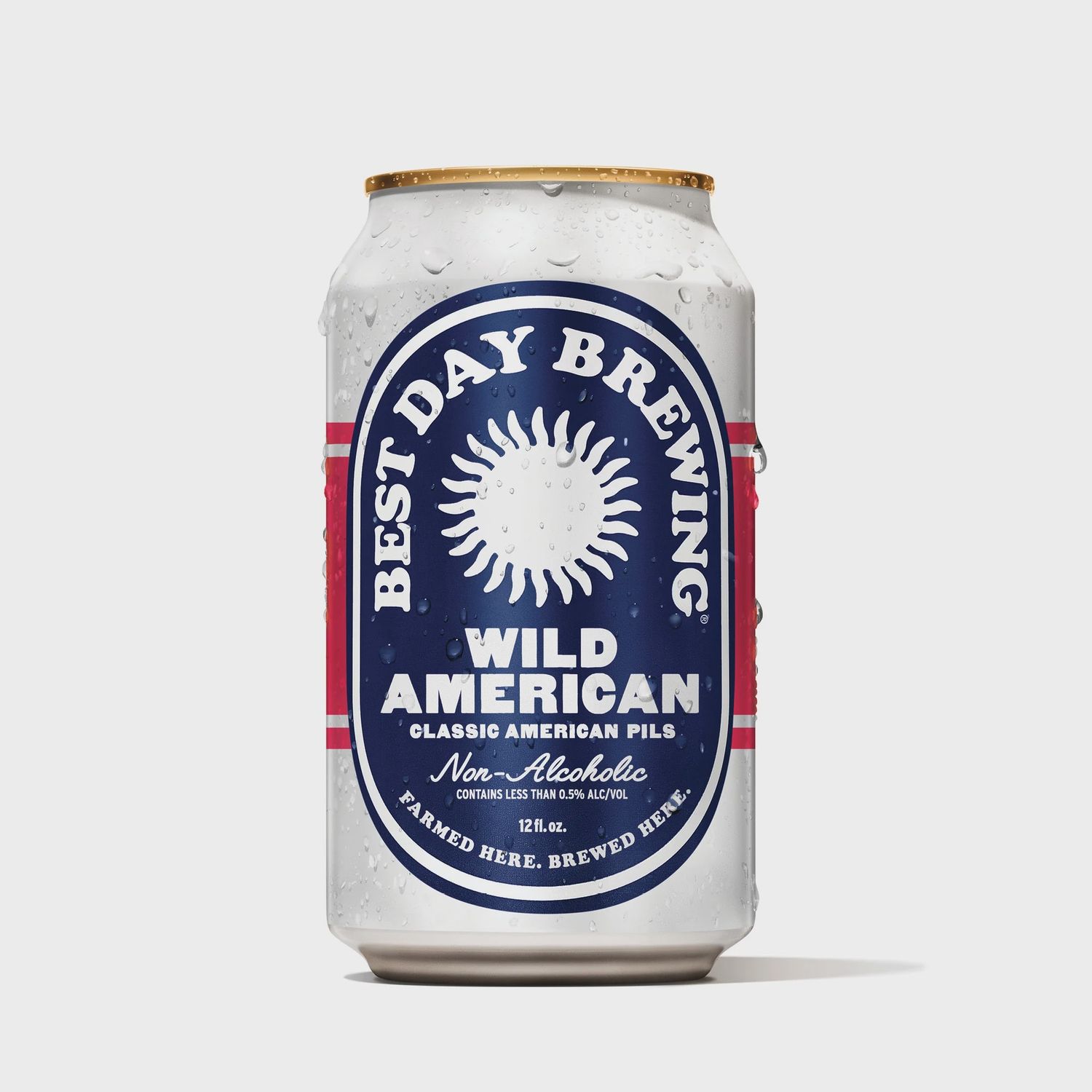 Best Day Wild American Pils