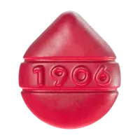 1906 Pain AM