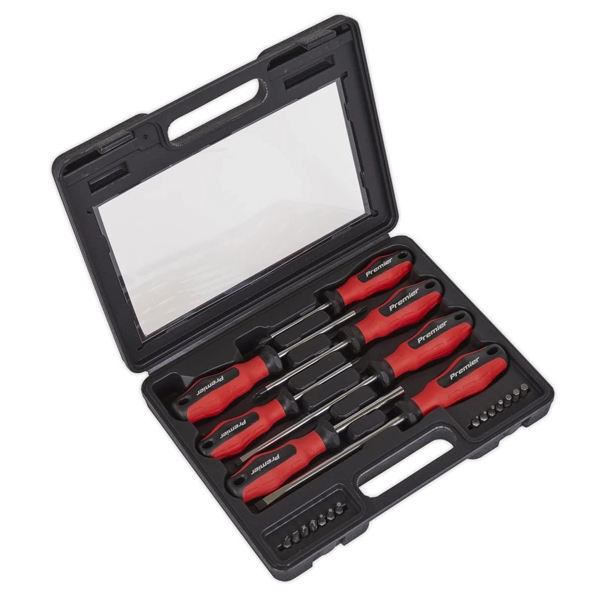 Screwdriver Toolkit 21pc