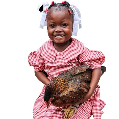 Two Chickens for a family in Haiti