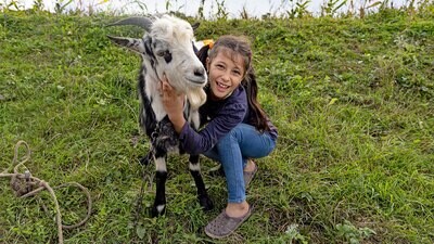 Una cabra para una familia en Rumania.
