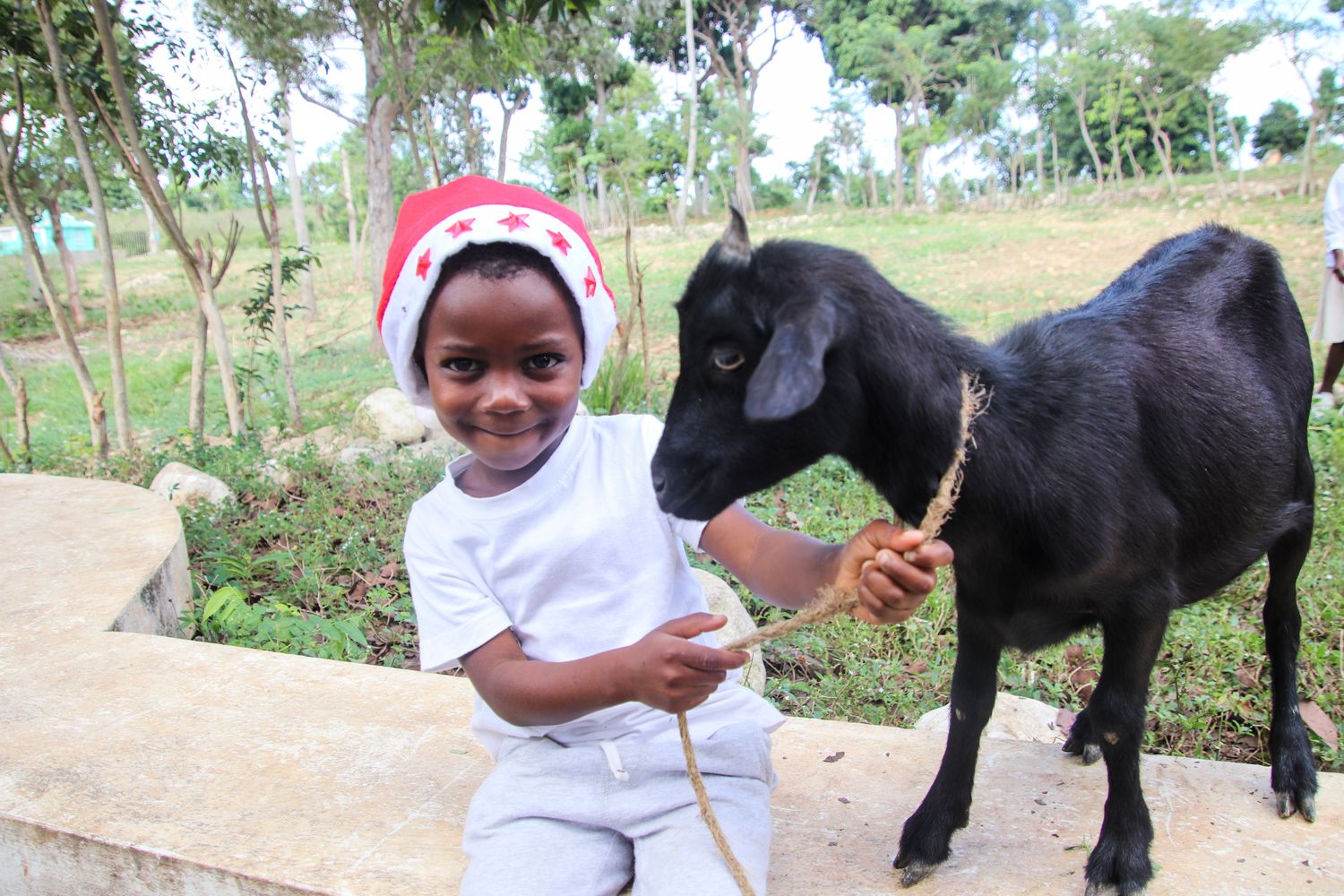 Una Cabra para Navidad (Haití) Una Cabra para Navidad (Haití)