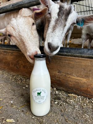 Goats Milk 1L