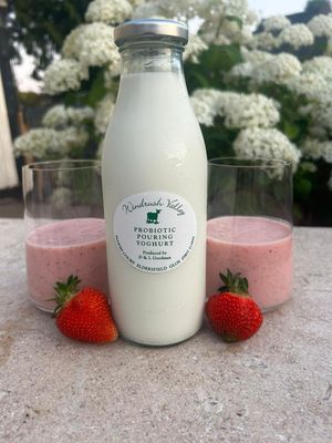 Probiotic Pouring Yoghurt 500ml