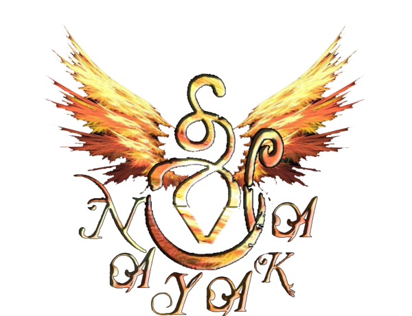 SRI V NAYAKA ENTERPRISES