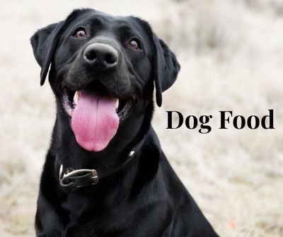 Dog Food