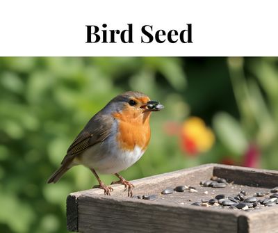 Bird Seed