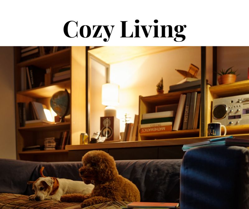 Cozy Living