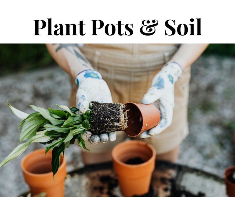 Plant pots &amp; Soil