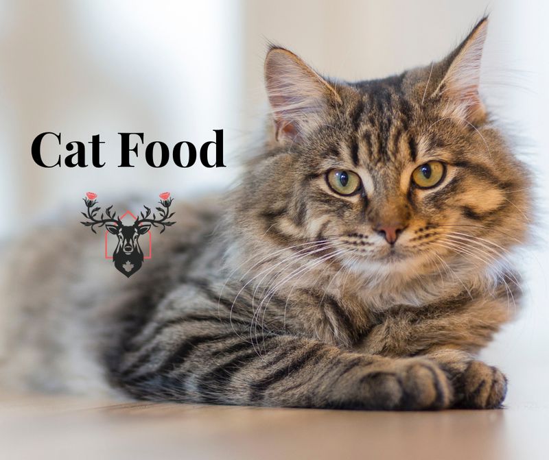 Cat Food