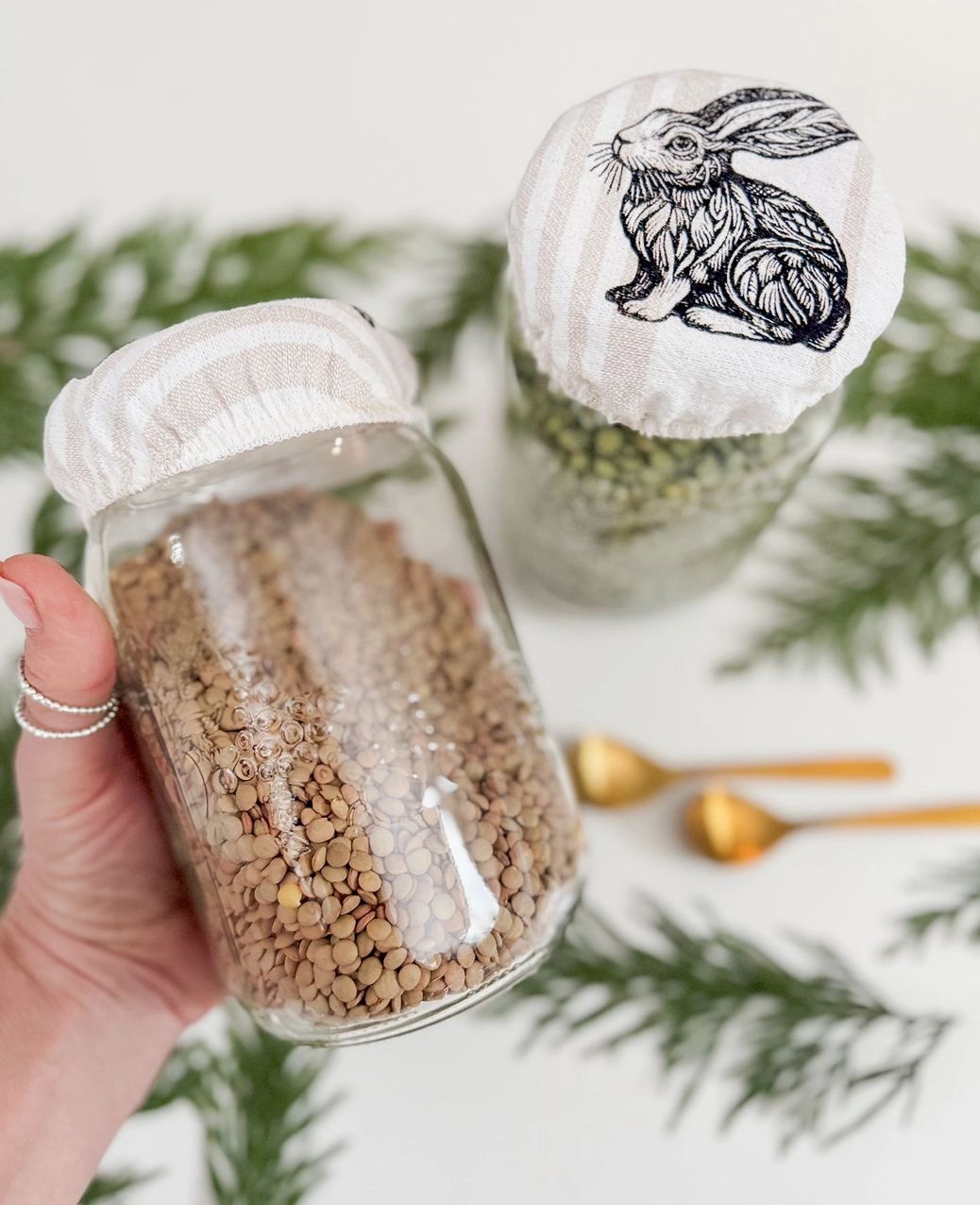 Bowl Cover / Mason Jar Set of 2 3.5'