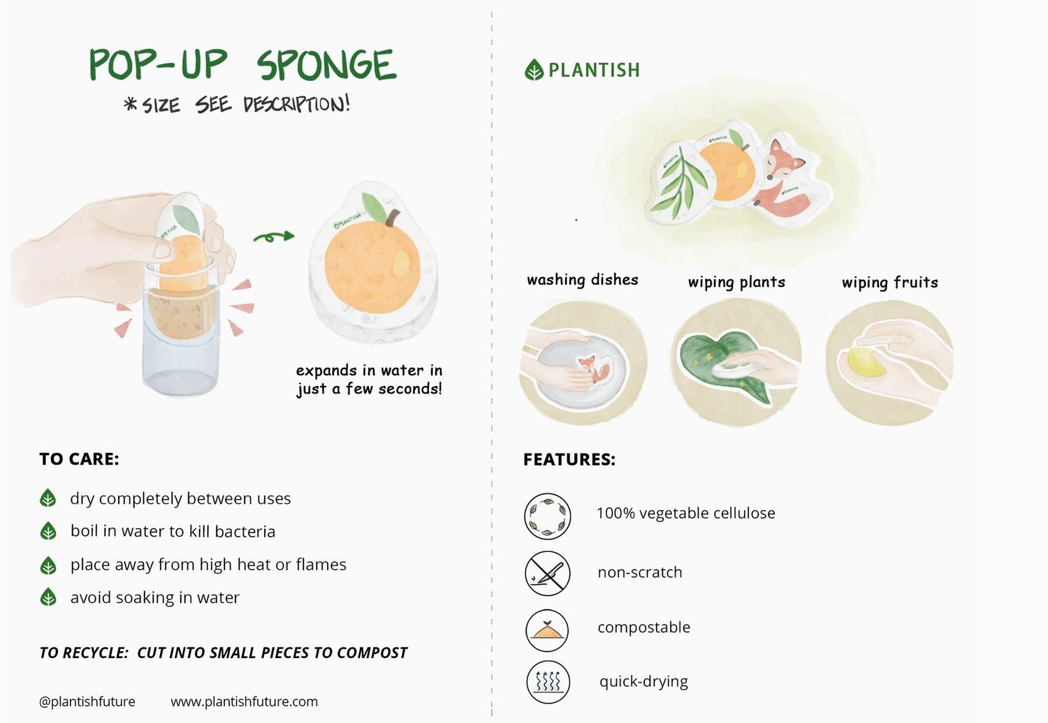 Pop Up Sponge