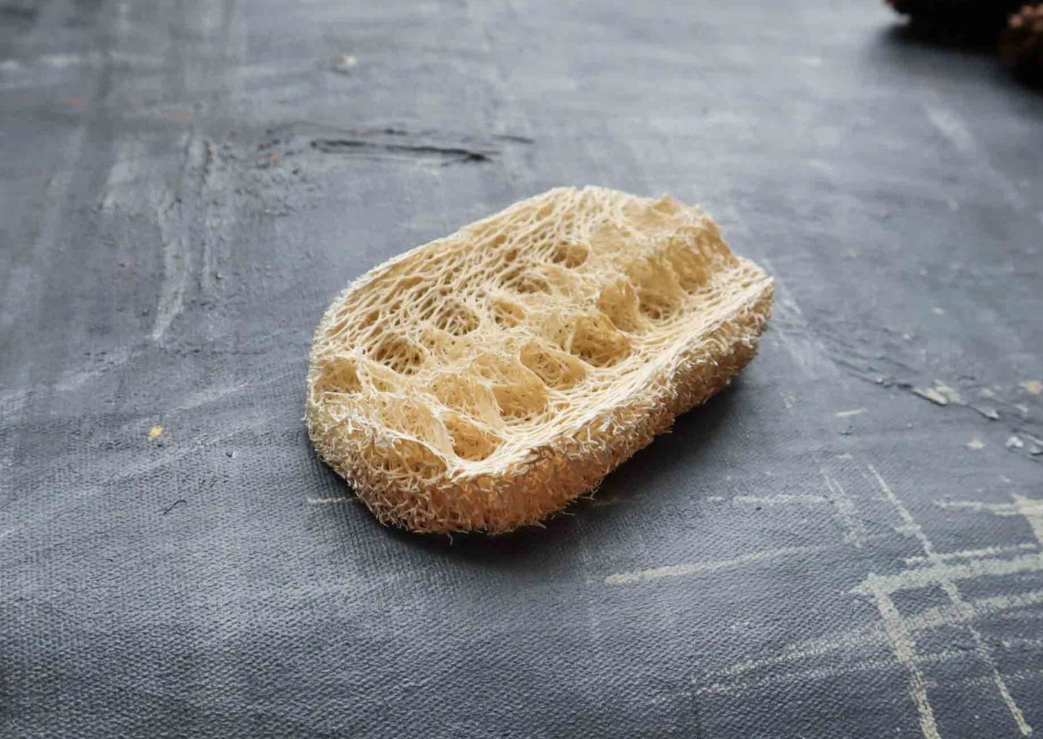 Loofah Dishwashing Sponge