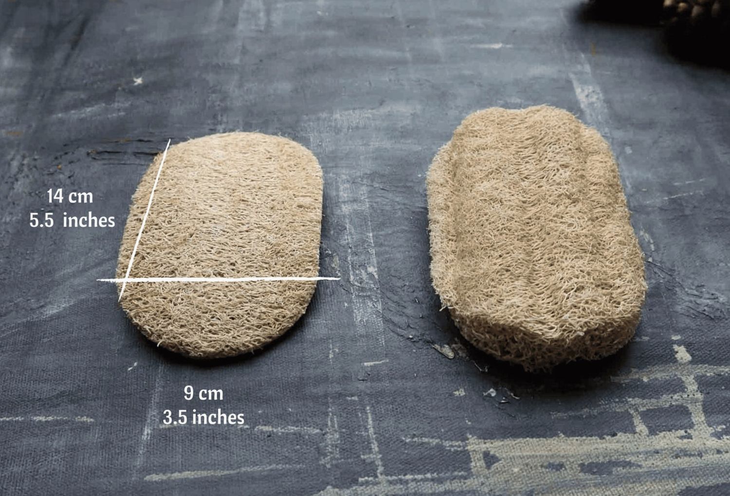 Loofah Dishwashing Sponge