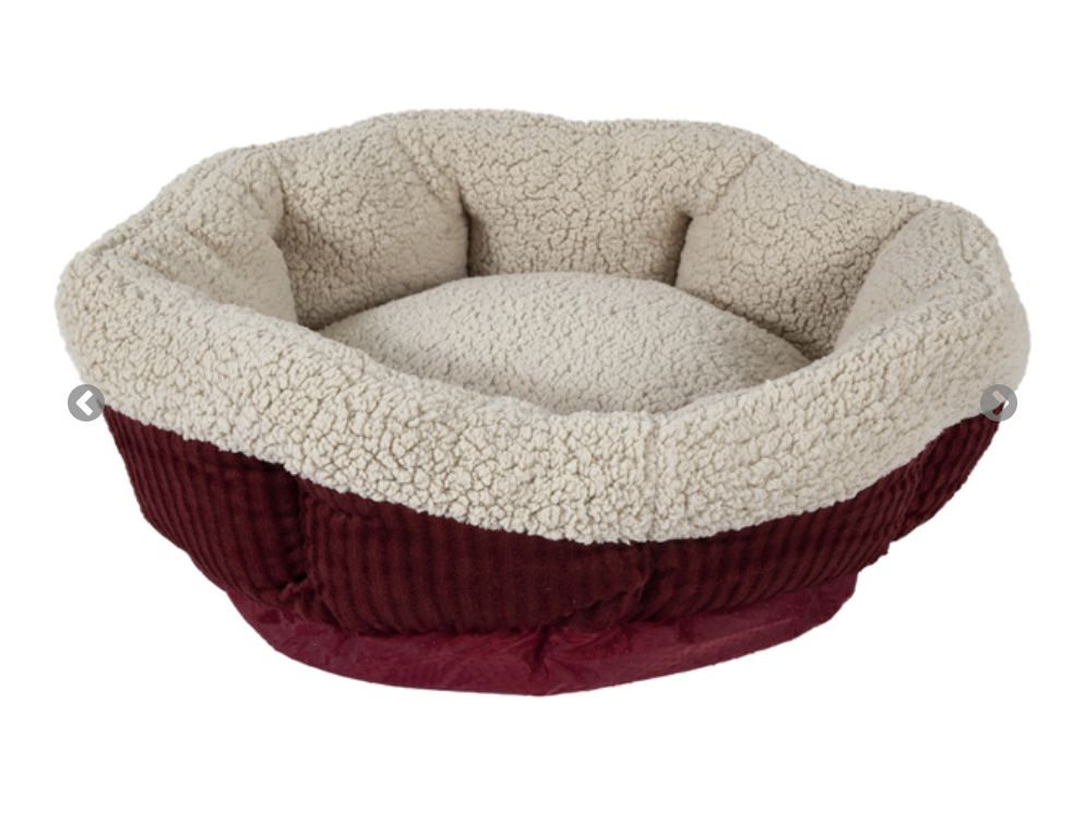 Aspen Pet Self Warming Oval Lounger Bed - Small / Petite